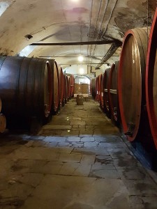 14/15 maggio 89^ Adu. Naz. Asti               